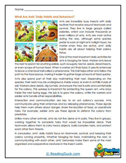 Busy Behaviors Worksheet