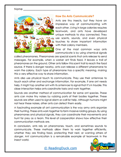 Signal Systems Worksheet