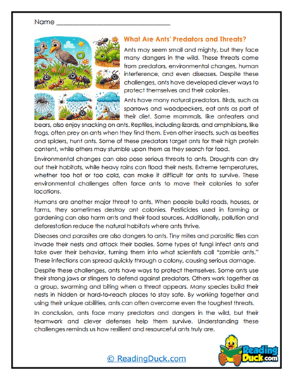 Danger Detectives Worksheet