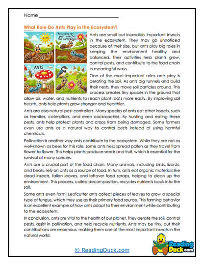 Eco Helpers Worksheet