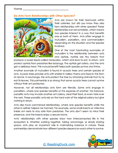 Nature Partners Worksheet