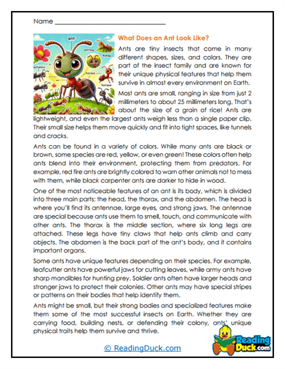 Tiny Traits Worksheet