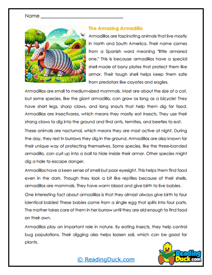 Armor Buddy Worksheet