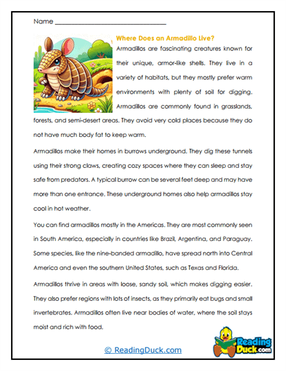 Burrow Digger Worksheet