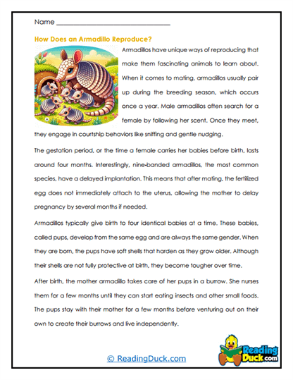 Pup Maker Worksheet