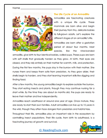Life Builder Worksheet