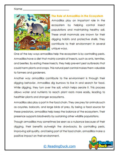 Eco Armadillos Worksheet