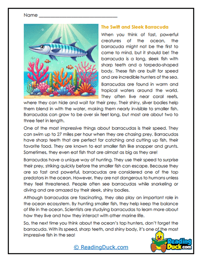 Ocean Speedsters Worksheet