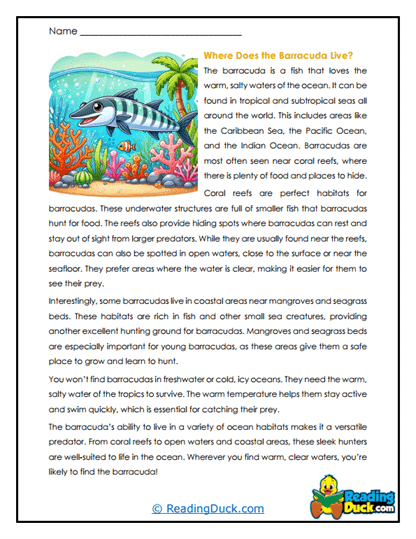 Tropical Hideaways Worksheet