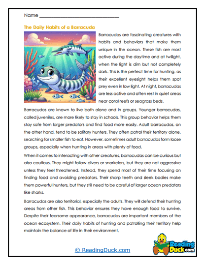 Daily Patrols Worksheet