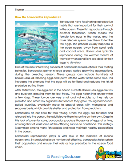 Spawning Strategy Worksheet