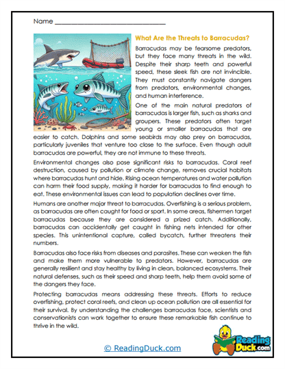 Ocean Threats Worksheet