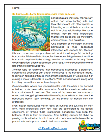 Underwater Connections Worksheet