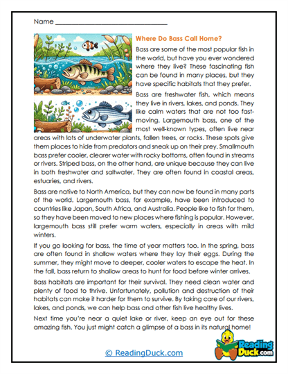 Watery Homes Worksheet