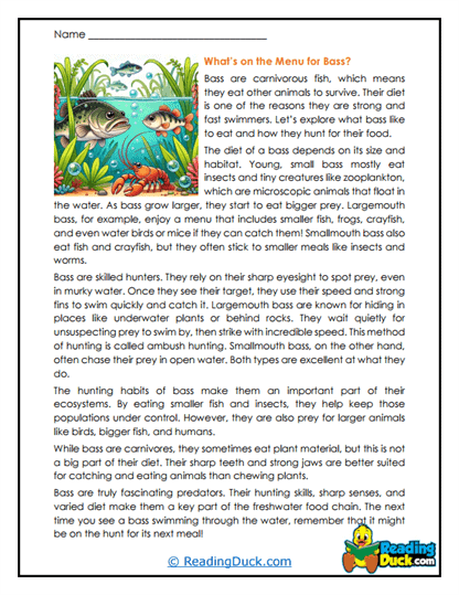 Bass Reading Comprehension Worksheets