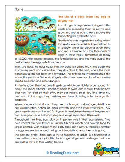 Growing Fry Worksheet