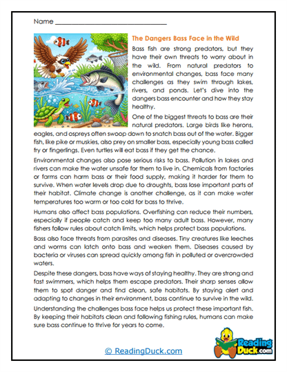 Wild Challenges Worksheet
