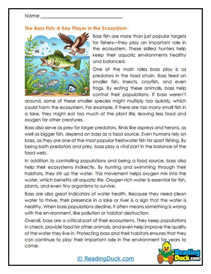 Ecosystem Balance Worksheet