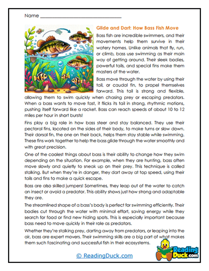Powerful Swimmers Worksheet