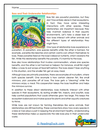 Underwater Connections Worksheet