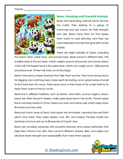 Bear Basics Worksheet