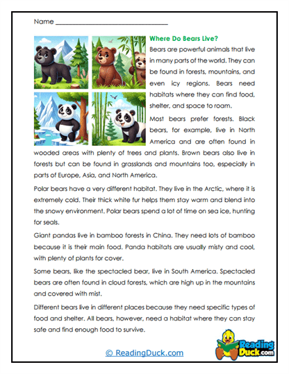 Bear Dens Worksheet