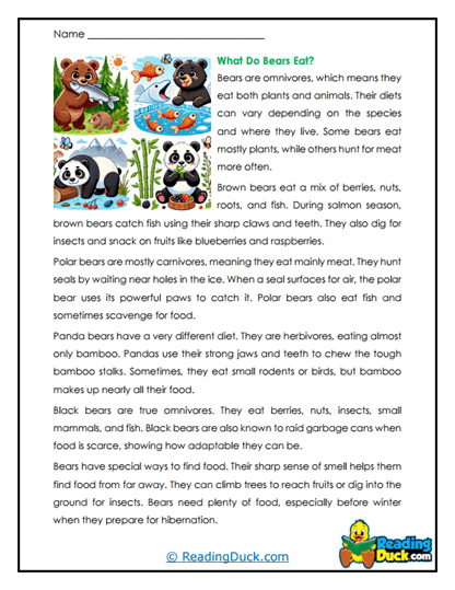 Bear Buffet Worksheet
