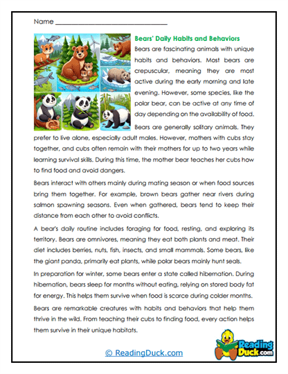 Bear Life Worksheet