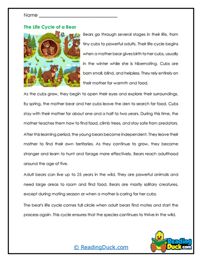 Bear Growth Worksheet