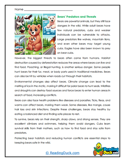 Danger Zones Worksheet