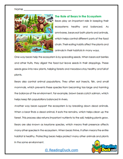 Berry Balance Worksheet