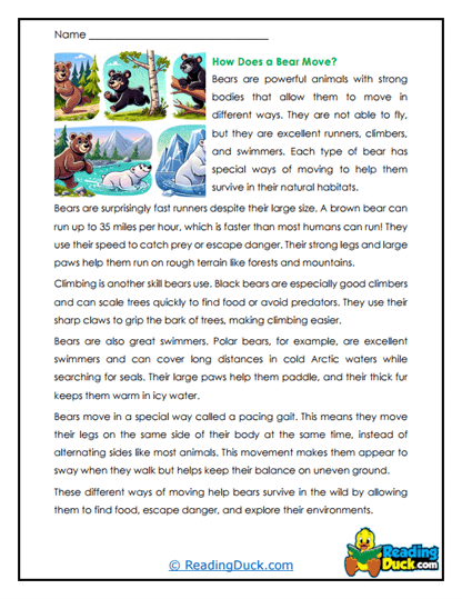 Cub Moves Worksheet