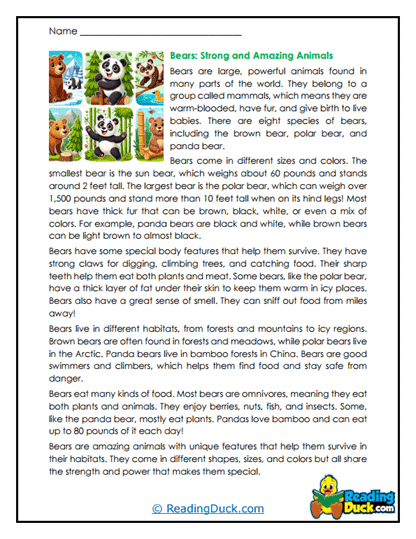 Mighty Bears Worksheet