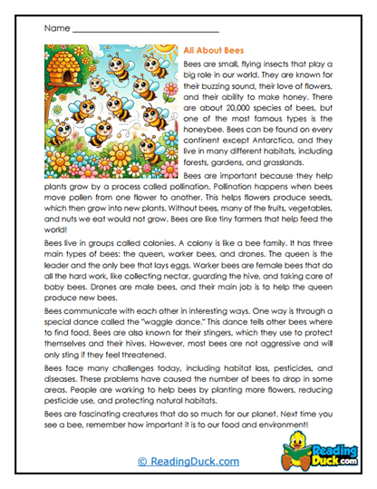 Bee Worksheets