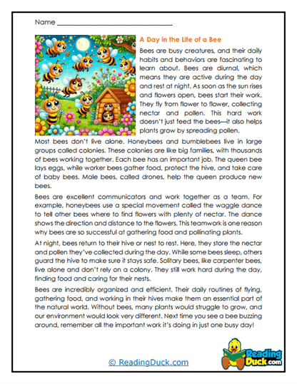 Daily Drifter Worksheet