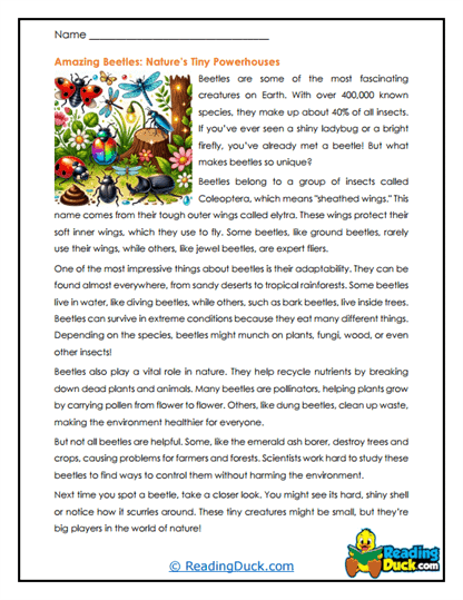 Power Beetles Worksheet