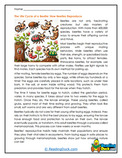 Reproduction Roadmap Worksheet