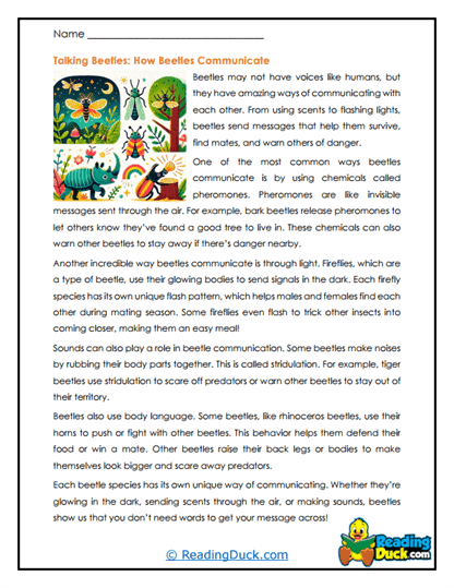 Signal Senders Worksheet