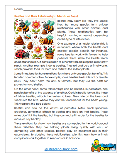 Nature Neighbors Worksheet