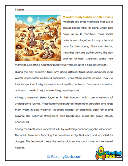 Daily Diggers Worksheet