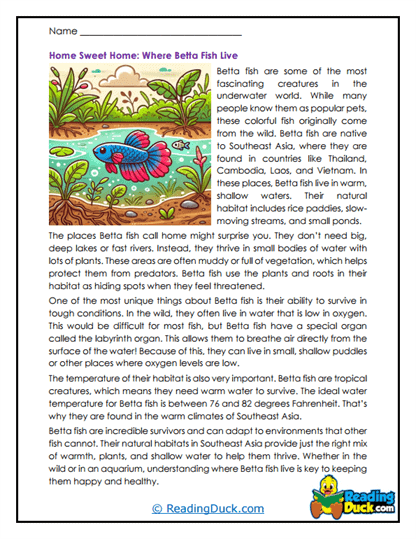 Shallow Waters Worksheet