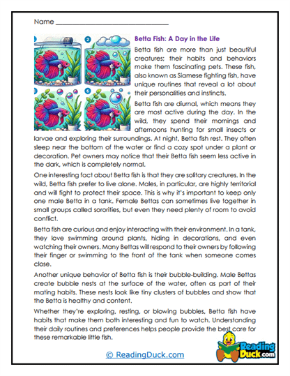 Daily Rhythms Worksheet