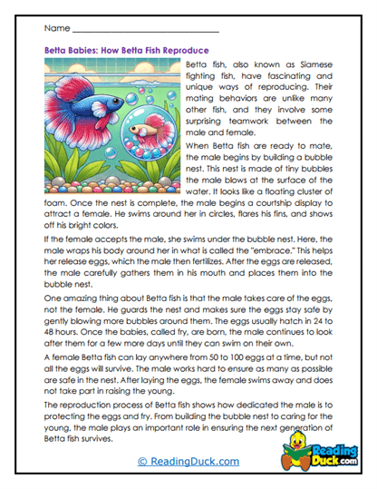 Bubble Babies Worksheet