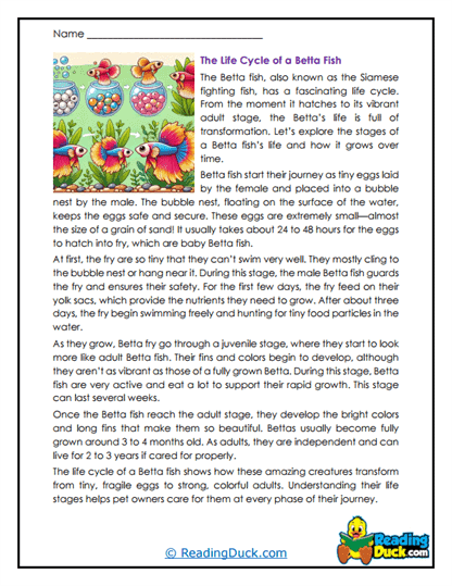 Growing Fry Worksheet