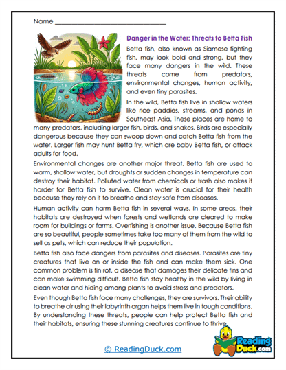 Water Dangers Worksheet