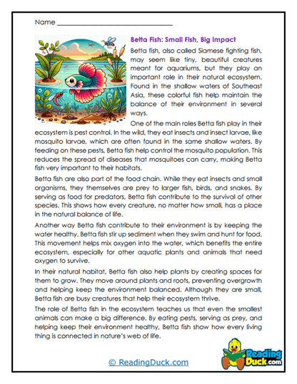 Pond Helpers Worksheet