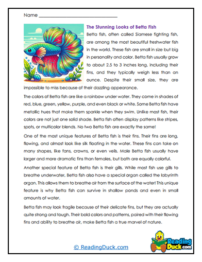 Flowing Colors Worksheet