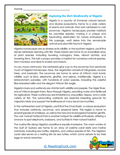 Wildlife Wonders Worksheet