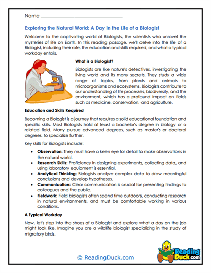 Wildlife Detectives Worksheet