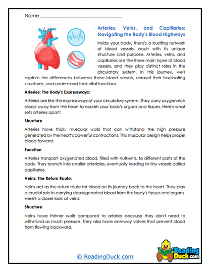 Vessel Voyage Worksheet